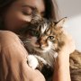 Kočičí přátelství: Proč jsou rituály a rutiny tak důležité?